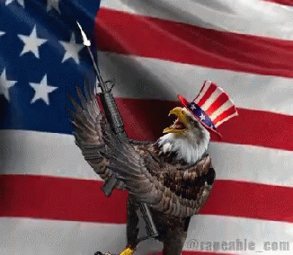 american-eagle-usa.gif