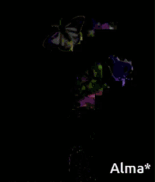flores y mariposas butterflies flowers fly alma