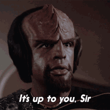 Its Up To You Sir Worf GIF - Its Up To You Sir Worf Star Trek GIFs