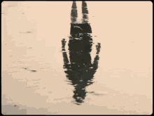 reflection silhouette shadow mirror by the shore reflection silhouette shadow mirror by the shore