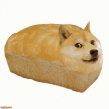 Brunch Bread GIF - Brunch Bread Eatem GIFs