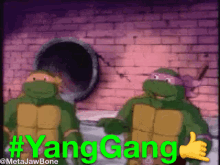 Yang Gang High Five GIF - Yang Gang High Five Teenage Mutant Ninja Turtles GIFs