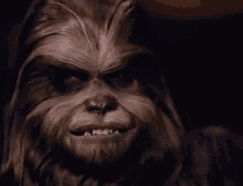 Ogvhs Wookie GIF - Ogvhs Wookie Mad GIFs