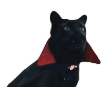 Cat Meow Sticker - Cat Meow Vampire Stickers