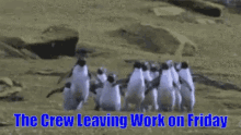 Penguins Leaving Work GIF - Penguins Leaving Work Friday GIFs