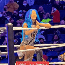 sasha banks bow down pipe down wwe wrestling sasha banks bow down pipe down wwe wrestling