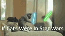 Cute Cat Star Wars Meme Fight GIF - Cute Cat Star Wars Meme Fight Cute GIFs