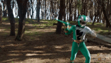 Fight Izzy Garcia GIF - Fight Izzy Garcia Green Dino Fury Ranger GIFs