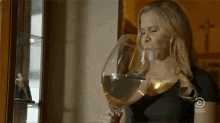 Wine Schumer GIF - Wine Schumer Drunk GIFs