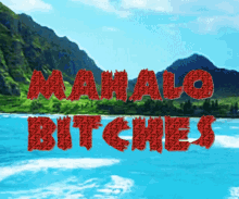 Bitches Hawaii GIF - Bitches Hawaii Beach GIFs
