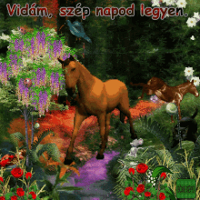 vid%C3%A1m sz%C3%A9p napod legyen have a fun beautiful day horse sparkle nature