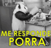 Meresponde Panda Bravo Furioso GIF - Answer Me Panda Mad GIFs