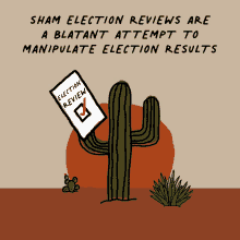 Sham Election Reviews Undermine Democracy Elections GIF - Sham Election Reviews Undermine Democracy Elections Election Night GIFs