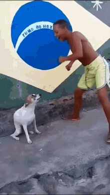 Dance Dog GIF - Dance Dog Dancing Pet GIFs