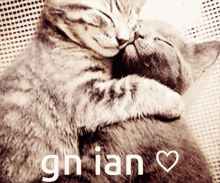 Gn Ian GIF - Gn Ian GIFs