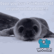 coin hunt world chw seal baby phone