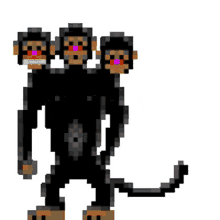 monkey monkey island