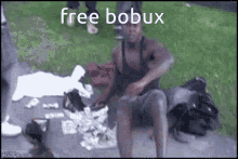 boblox bobux
