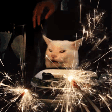 smudge sparkler smudge cat sparkle fireworks