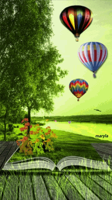 Book Hot Air Balloon GIF - Book Hot Air Balloon Nature GIFs