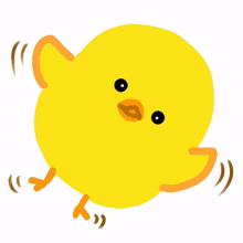 bird cute animal yellow yay