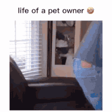 life of a pet owner dog owner pet pwner