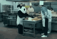 Panda Angry GIF - Panda Angry Flour GIFs