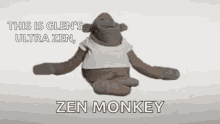 Zen Zen Monkey GIF - Zen Zen Monkey Focus GIFs