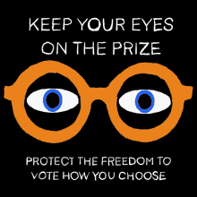 Protect The Freedom To Vote How You Choose Right To Vote GIF - Protect The Freedom To Vote How You Choose Right To Vote Protect The Vote GIFs