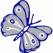 limassol butterfly