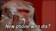 monkey phone