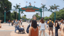 disneyland flip