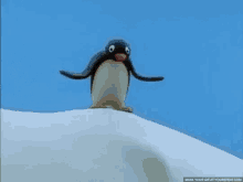 pingu penguin shrug noot hoot