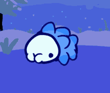 snom snom