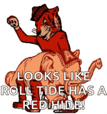 Auburn Roll Tide GIF - Auburn Roll Tide Red Hide GIFs