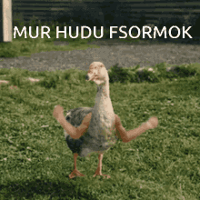 Mur Hudu GIF - Mur Hudu Fsormok GIFs