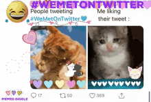 We Met On Twitter Cats GIF - We Met On Twitter Cats Memes Giggle GIFs