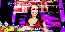 Wwe Brie Bella GIF - Wwe Brie Bella Raw GIFs