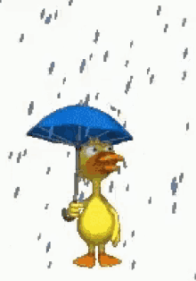 Duck Rainy Day GIF - Duck Rainy Day Raining GIFs