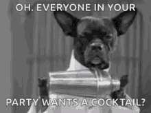 dog bartender cocktail shaker