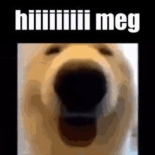 Meg GIF - Meg GIFs