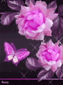 pink roses and butterfly