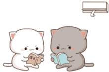 goma and
