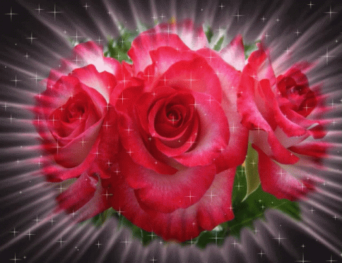 Flowers Roses GIF - Flowers Roses Sparkles - Discover & Share GIFs
