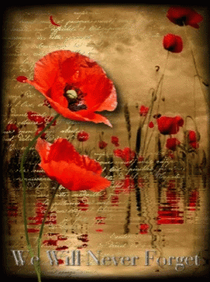 Sad We Will Never Forget GIF - Sad We Will Never Forget Poppies - Discover  &amp; Share GIFs