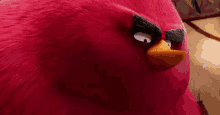 Terence Angry Birds GIF - Terence Angry Birds Stare GIFs