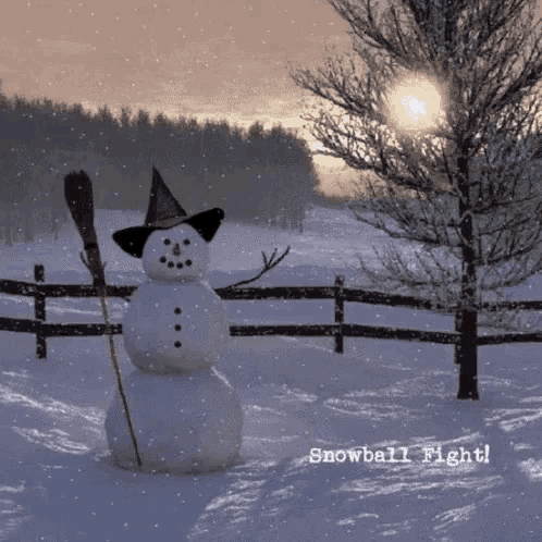 Snowma Snowball GIF - Snowma Snowball GIFs