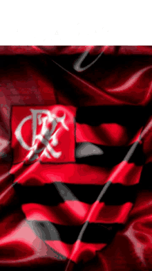Flasmo Flamengo GIF - Flasmo Flamengo Flamengo Sao Miguel Do Oeste GIFs