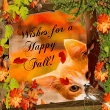 Happy Fall Happy October GIF - Happy Fall Happy October Kitten GIFs