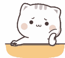 mochi cat chibi cat white cat mushy cat